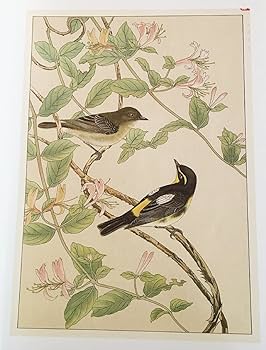 土岡春郊 鳥類画集「鳥類写生図譜」完全複刻版 全4冊揃 小泉勝巳 土岡春郊 鳥類画集「鳥類写生図譜」完全複刻版 全4冊揃